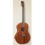 Simon & Patrick Woodland Pro Folk Mahogany HG Акустическая гитара