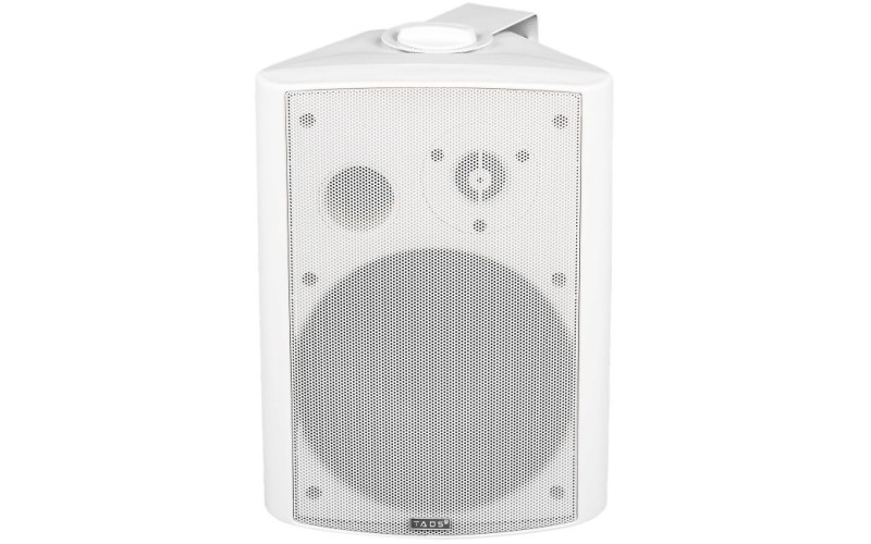 TADS DS-503 Громкоговоритель настенный, 30Вт