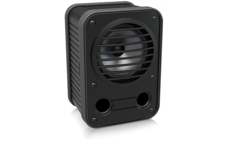 Tannoy CPA 5 акустическая система, чёрная