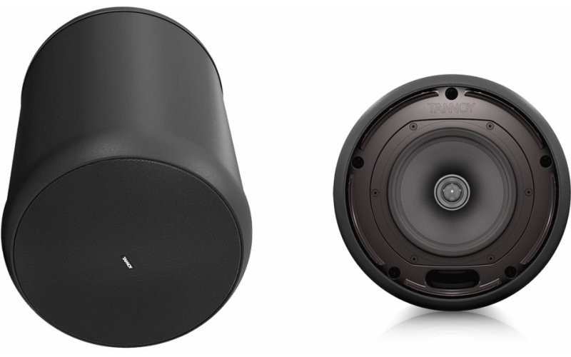 Tannoy OCV 6 подвесной  громкоговоритель 