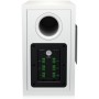 Tannoy SAT SUB-WH компактный настенный сабвуфер
