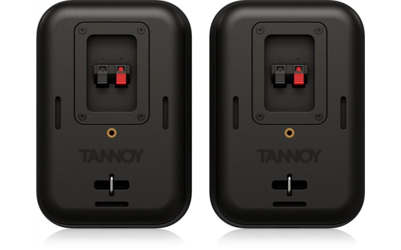 Tannoy VMS 1 пара пассивных мониторов