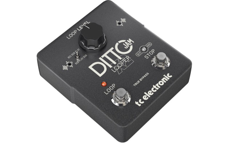 TC ELECTRONIC DITTO JAM X2 LOOPER - интуитивный лупер с технологией BeatSense