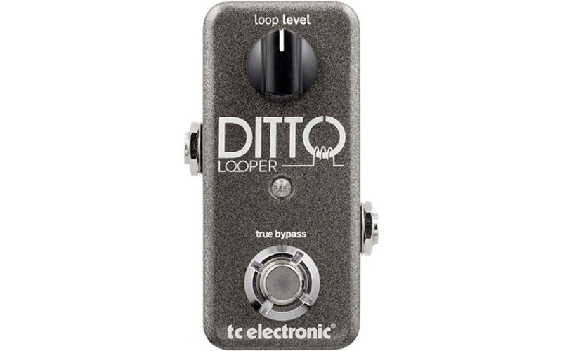 TC ELECTRONIC DITTO LOOPER педаль эффектов лупер