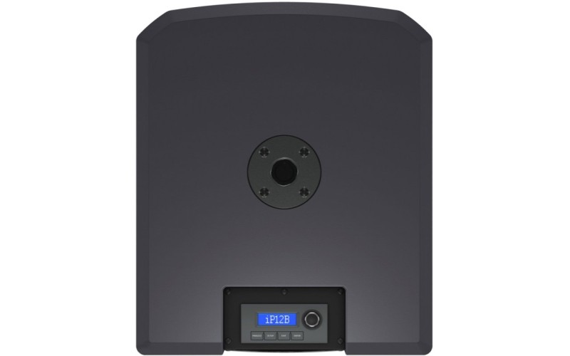 Turbosound iNSPIRE iP12B активный сабвуфер