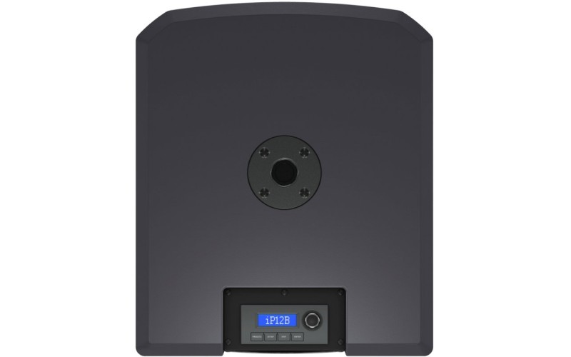 Turbosound iNSPIRE iP12B активный сабвуфер