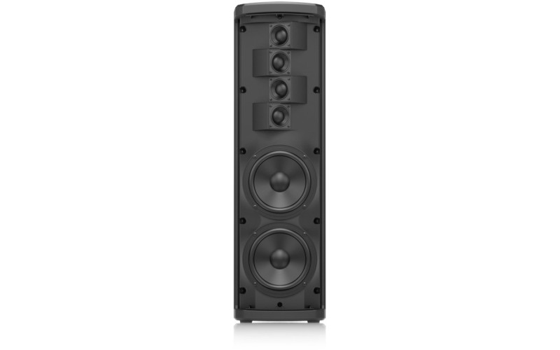 TURBOSOUND IP300 компактная аудио колонна