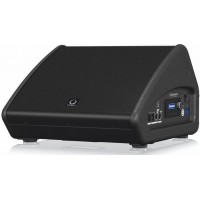 Turbosound TFM122M-AN сценический монитор, активный