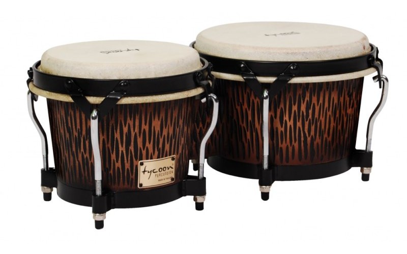 TYCOON STBS-B CO - Бонго