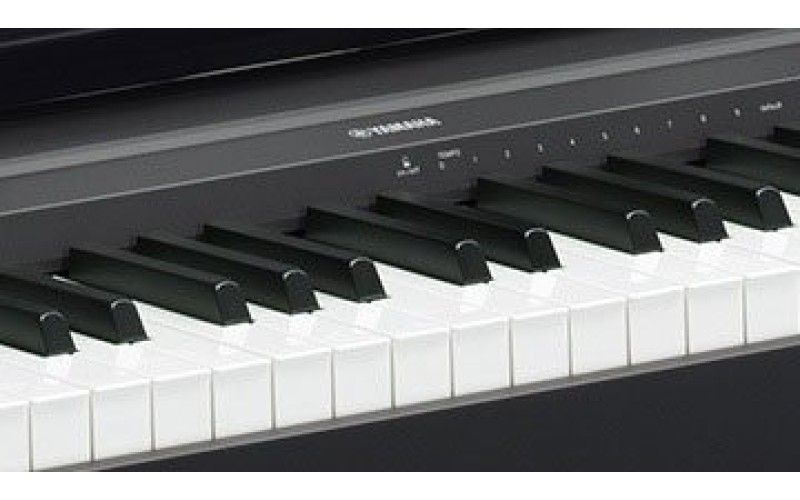 YAMAHA P-45B - цифровое пианино (PA-150 в комплекте)