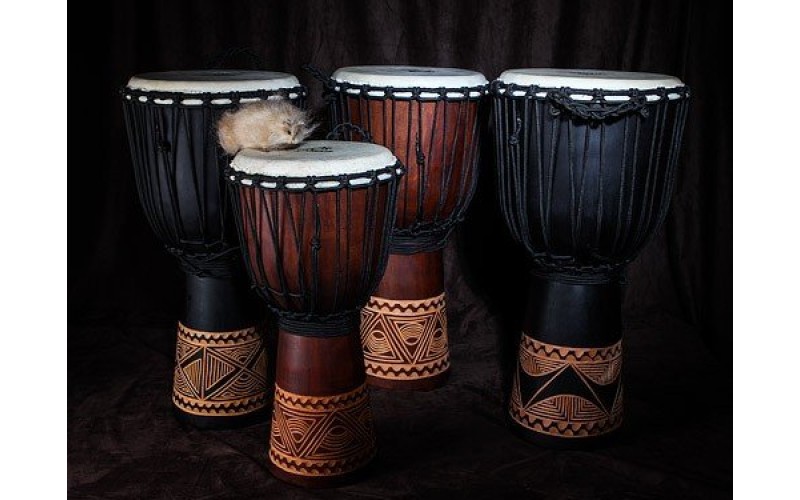 YUKA DJWN010-20BR2 - джембе, 10