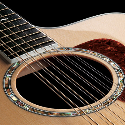 струны d`addario для двенадцатиструнной гитары купить