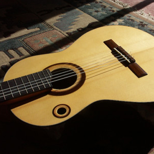 струны d`addario для классической гитары купить