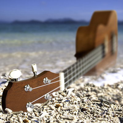 струны d`addario для гавайской гитары укулеле купить